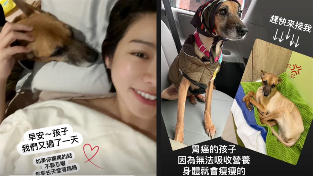 《好運來》米可白夜會黑衣男!正面視角全被拍「標記他IG」甜喊:小幸福