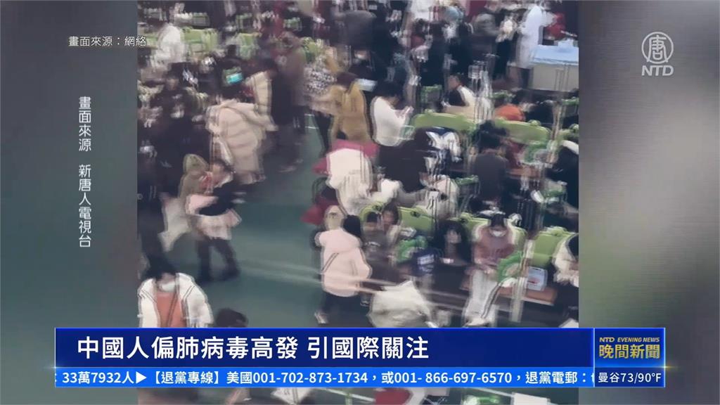 人畜共通!中國罕見傳染病「Q熱」 民眾憂變新冠2.0