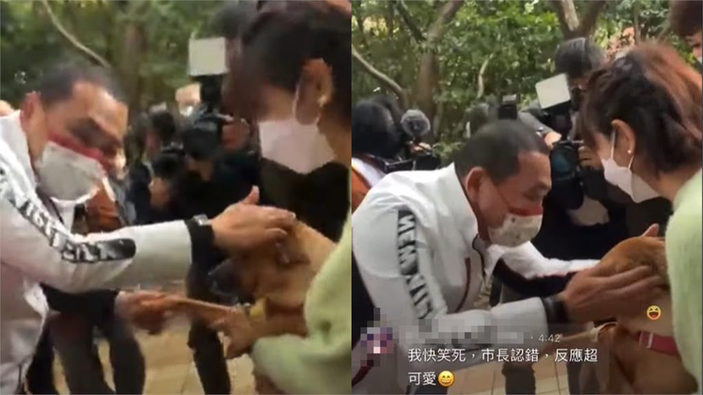 昔「叫錯名」成經典迷因!米可白愛犬「錢錢」罹胃癌 侯友宜暖心發聲了