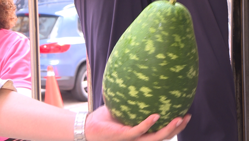 幸好有安全帽! 天降「綠色一物」狠砸雙載機車騎士