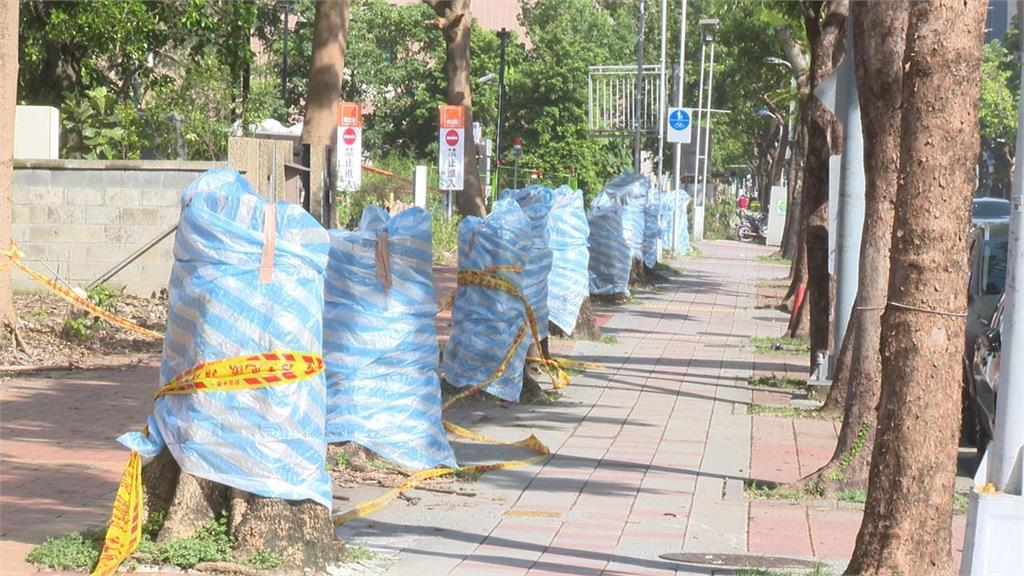 快新聞／新聞聯絡人爆「海巡嗆網友」！北市公園處發百字聲明切割：已啟動調查