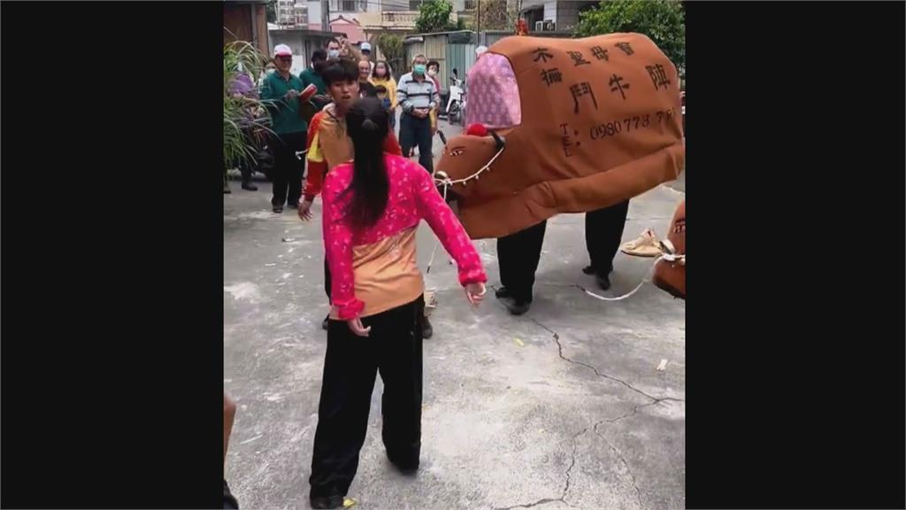 鬥牛陣表演太真實!牧童街頭滾地激烈互毆 網笑:一定有私人恩怨