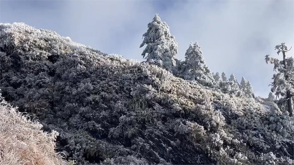 合歡山積雪未融！豔陽照白雪出大景　排隊上山車潮更多了