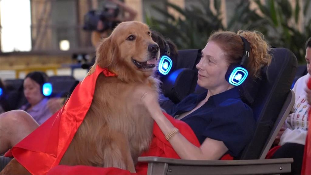 超人電影萌犬「超狗」立大功! 「這關鍵字」搜尋次數破500%