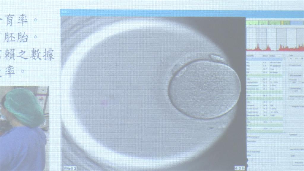 求子福音！台灣「鑲嵌型囊胚植入」論文　　榮獲美國生殖醫學年會首獎