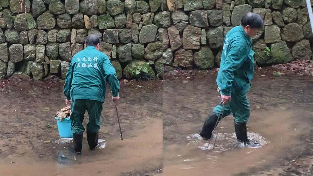 香客放生惹禍！杭州靈隱寺山溪「烏龜集體暴斃」　屍體堆成小山畫面曝