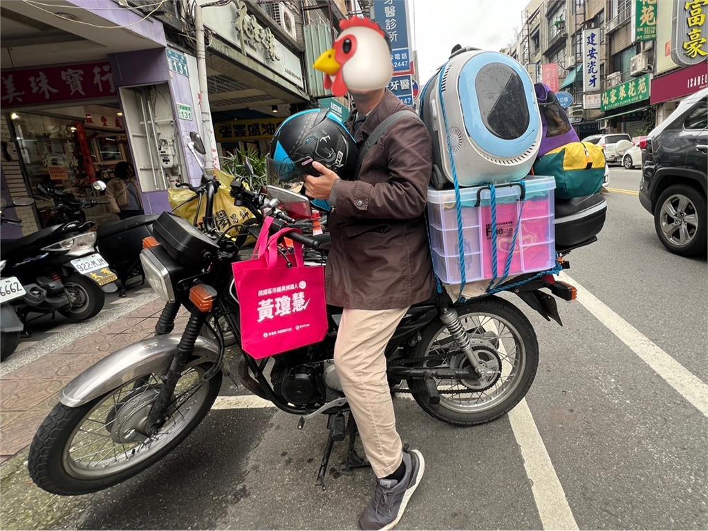 快新聞/超萌!網紅雞「麻油」環島首站去這裡 黃瓊慧嗨:助理以為走失要協尋