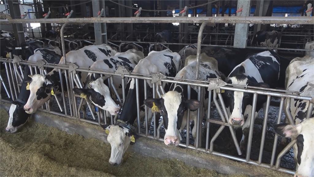 牛奶又要漲價了？　乳廠憂影響買氣集體拒絕與會