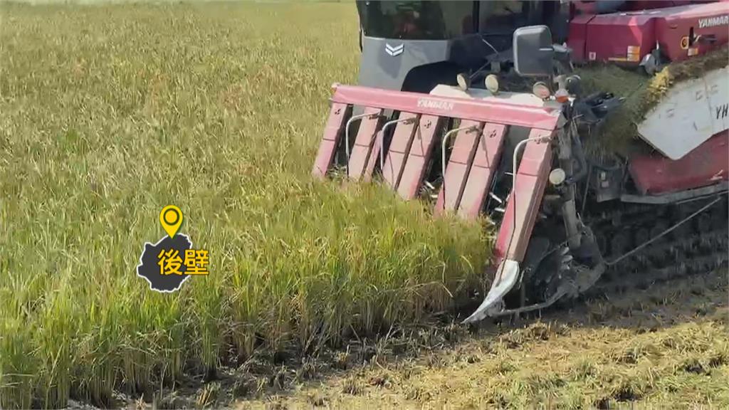 康芮颱風估週四晚間登陸 農民加緊採收、防颱準備