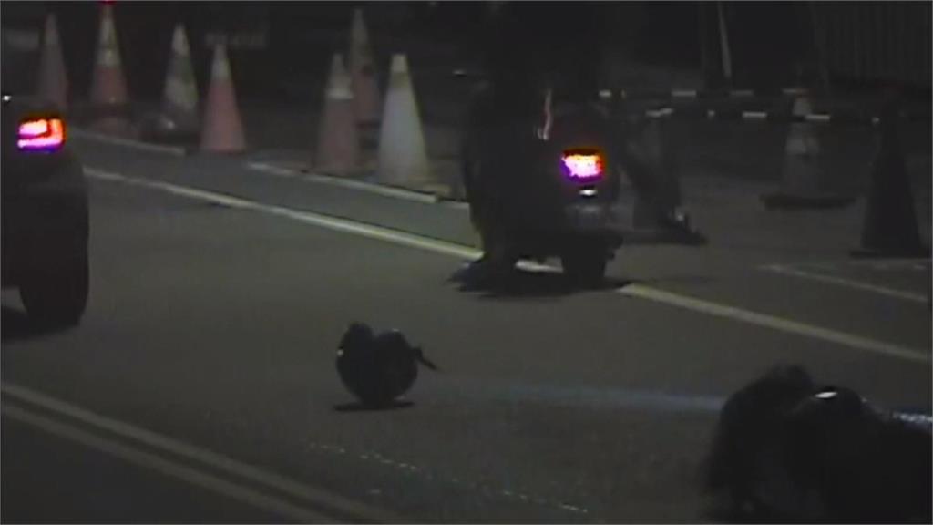 花蓮車禍談和解! 雙方撂人助陣演變全武行