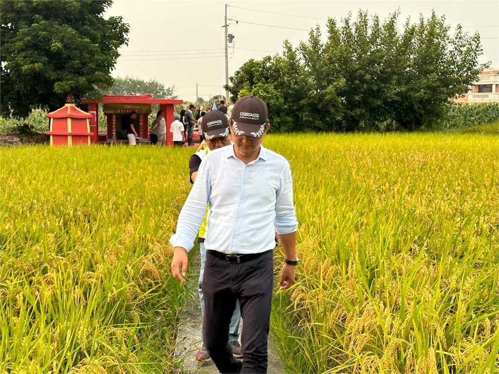 快新聞／小犬颱風釀中南部水稻受損　農業部今宣布產調完成、理賠啟動