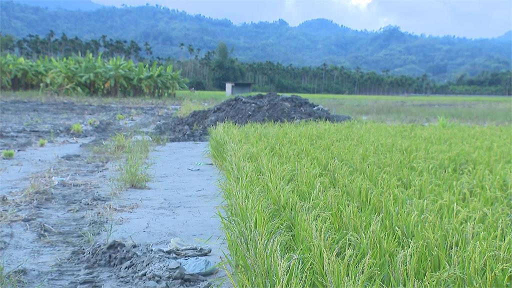 堰塞湖溢流收成沒了... 月繳貸款20萬農民喊苦