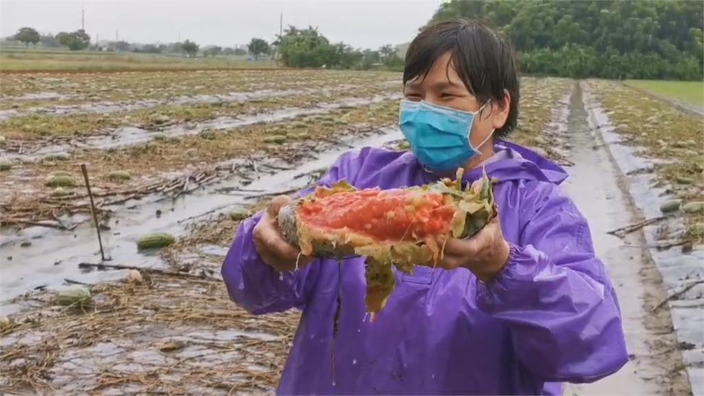 豪雨不斷！全台農損破2億　蔡總統視察：政府會全力幫忙