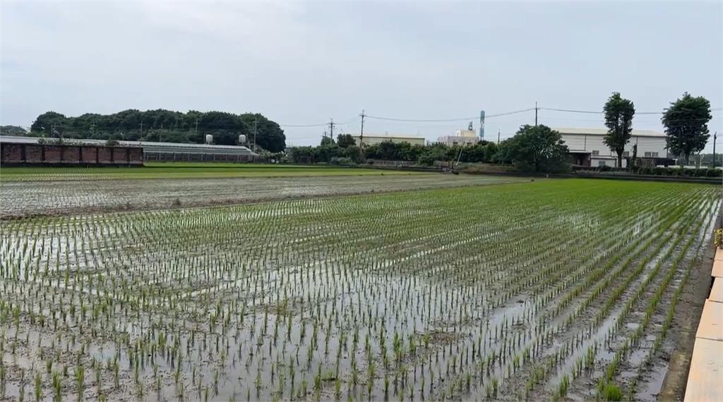 疑機器漏電! 彰化青農移動抽水機觸電身亡