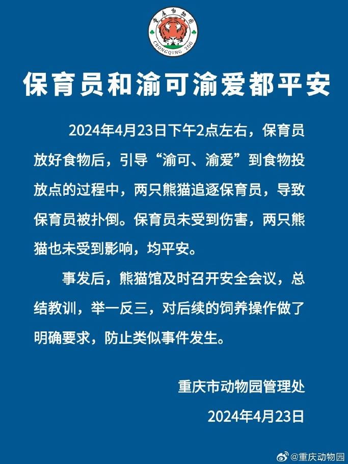 快新聞／中國大貓熊抓狂「撲倒保育員」嚇死人　英媒酸：功夫熊貓大屠殺