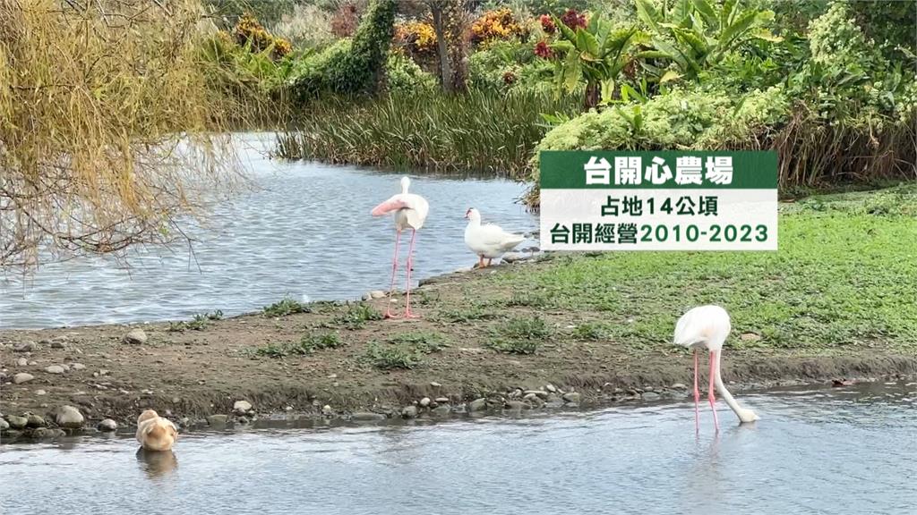 花蓮台開心農場12/15熄燈　董座邱于芸發「千字文」不捨道別