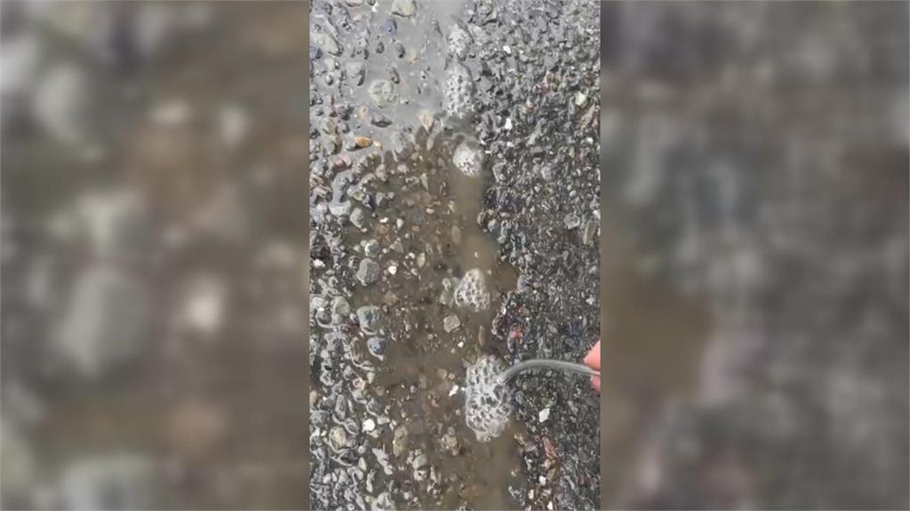 高雄輕軌車廂內「下小雨」 柏油路面裂縫竟冒泡