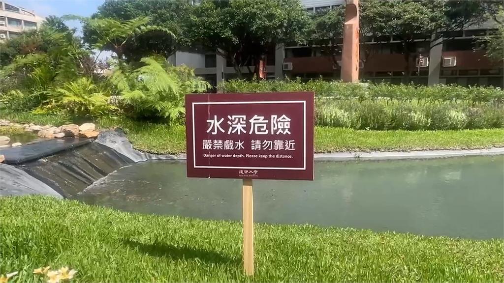 逢甲學生半夜划龍舟？　4人共乘「景觀船」划船