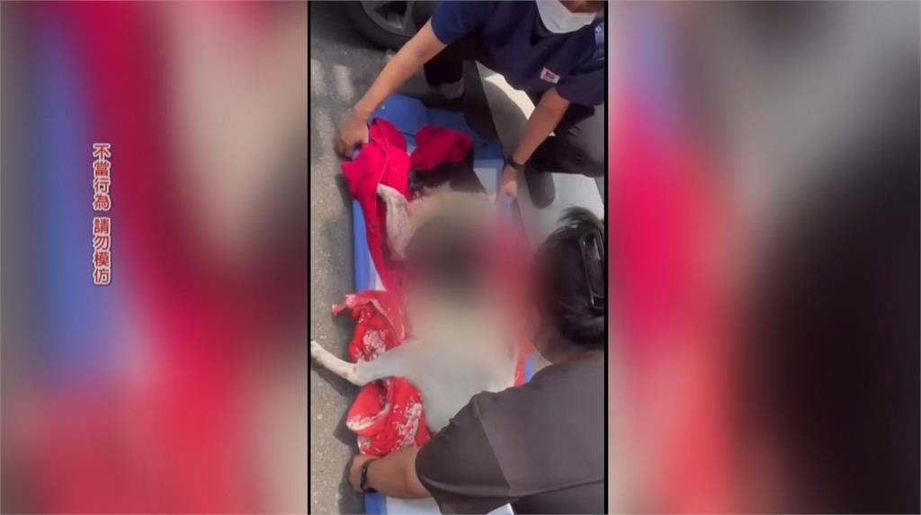 殘忍!苗栗男「持十字弓射流浪狗」 1死1重傷 落網稱:不滿隨地便溺