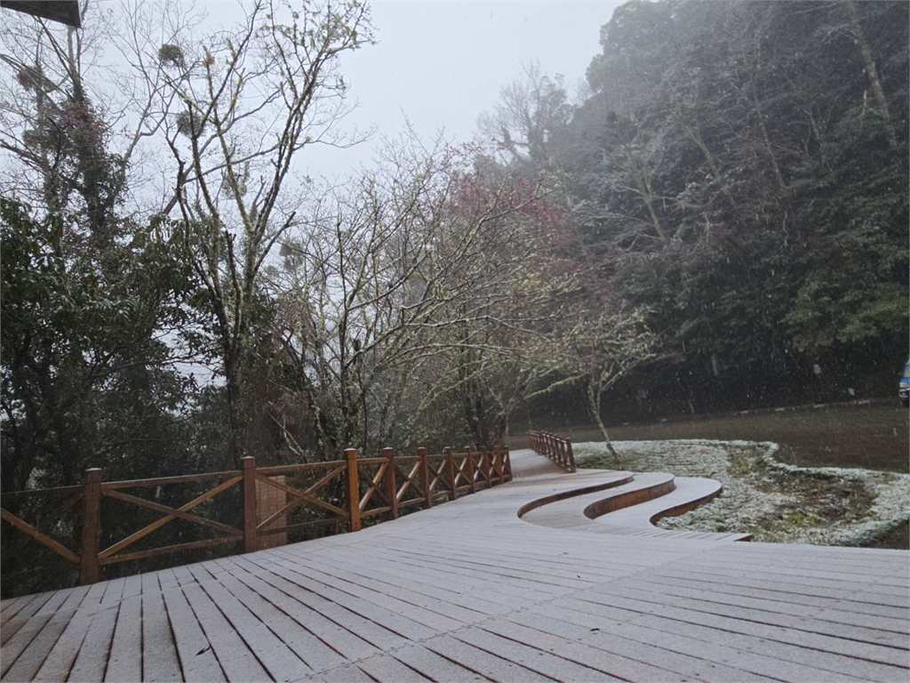 快新聞／寒流來襲！白雪覆蓋合歡山、拉拉山　太平山降冰霰呈銀白世界