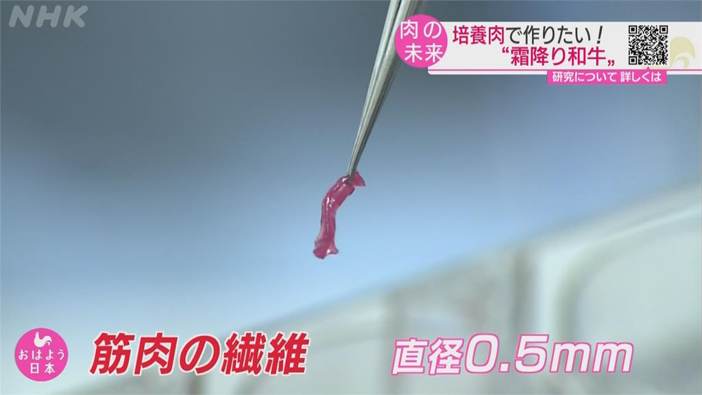 未來你吃的肉不是肉！　日本大學研發　3D列印人造霜降和牛肉排