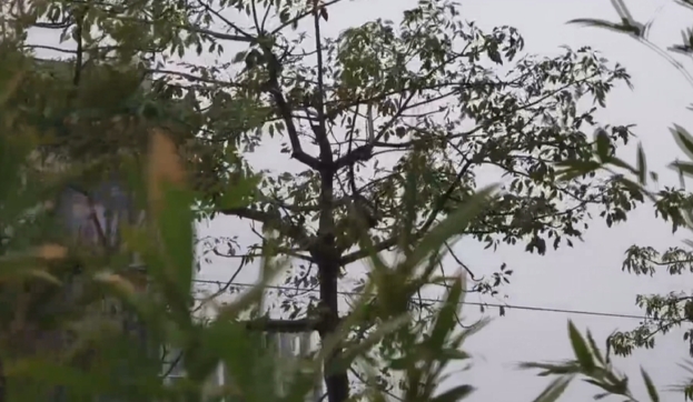 脫鉤中部生活圈!南投學生跨區上課 一個學校兩樣情「學生冒險通勤」