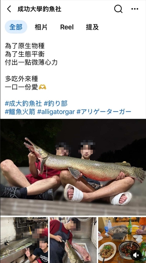 228公園「鱷魚火箭」被吃下肚！學者揭超凶真面目...「1部位」有毒：不要食用
