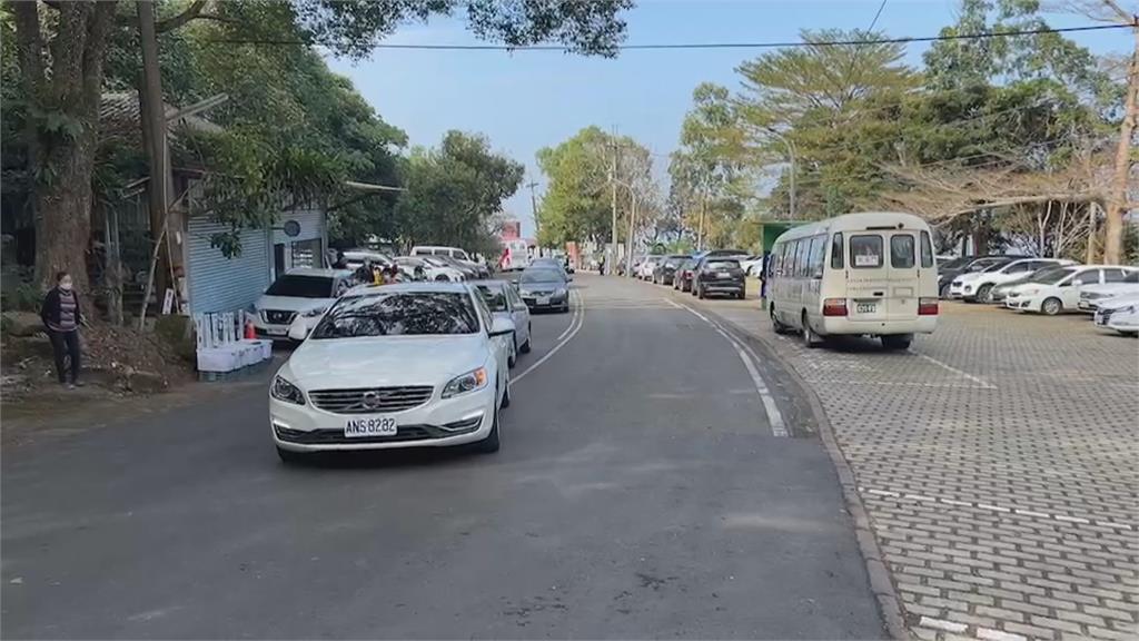 台南梅嶺梅花盛開　假日湧3千車次賞花　車潮擠爆