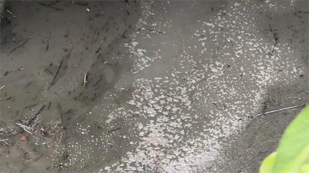 快新聞/環境部出手!基隆河油污源頭找到了 稽查「這3行政區」結果出爐