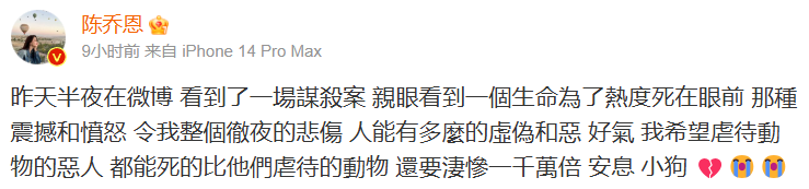 中國網紅狗疑直播中洗澡被「綁嘴」釀去世！陳喬恩怒轟：看了一場謀殺