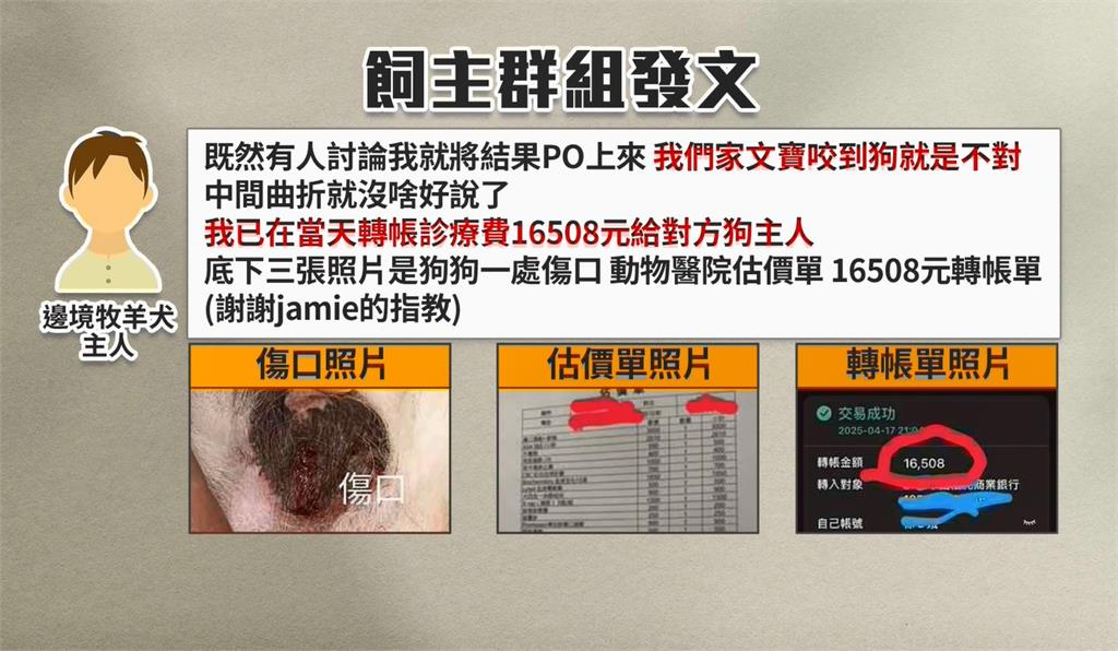 寵物公園衝突! 邊牧突狠咬薩摩耶 動保處:判定為攻擊性犬隻