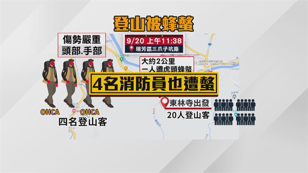 瑞芳登山團遭虎頭蜂螫　2人無呼吸心跳搶救中　警消也被螫