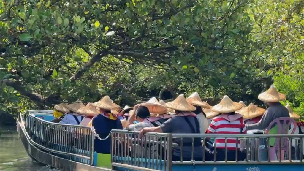 搭船遊覽台南四草綠色隧道　網紅眼鏡掉水裡下水打撈觸法