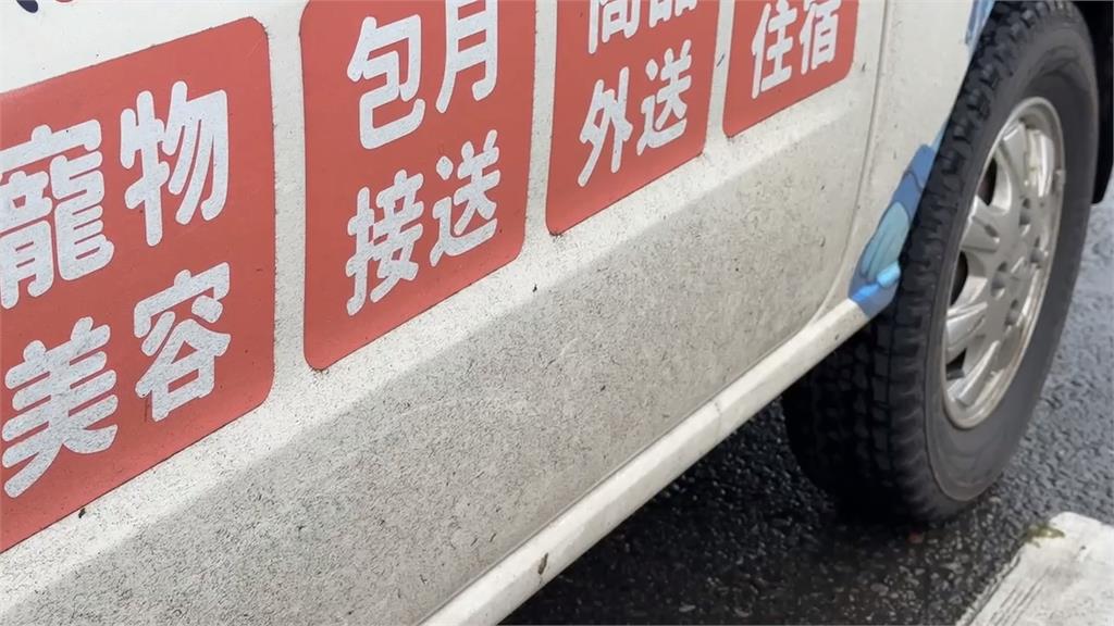 愛犬送美容耳朵被剪缺一角 飼主控店家不聞不問