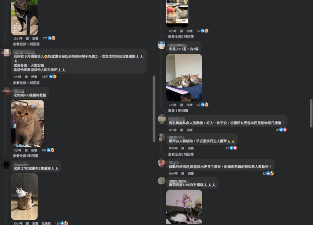 香港大火/宏福苑惡火150隻「毛孩」待援!百名爸媽淚求:我家貓還在裡面