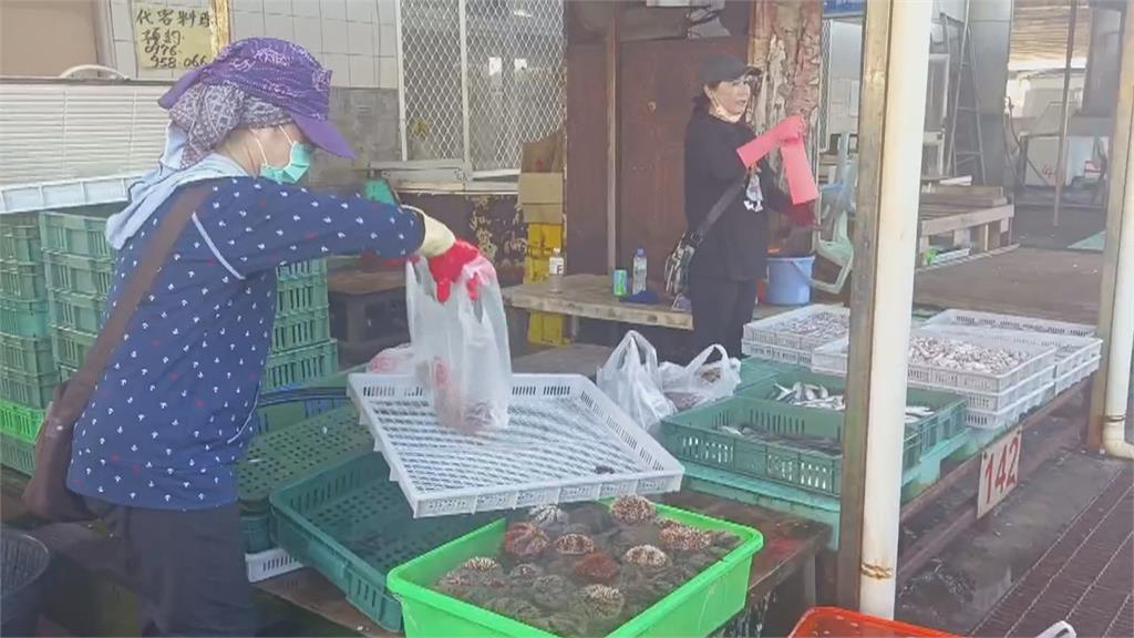 澎湖馬糞海膽鮮甜可口 養殖技術突破有望「全年吃得到」