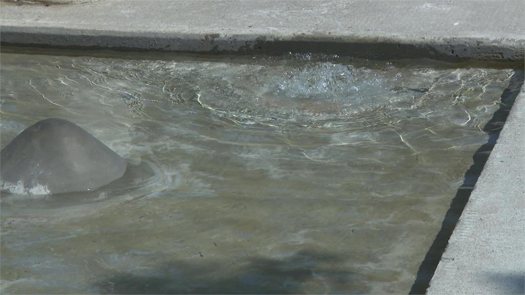 公園戲水池洗拖把!保全無視小孩正在玩水挨家長轟