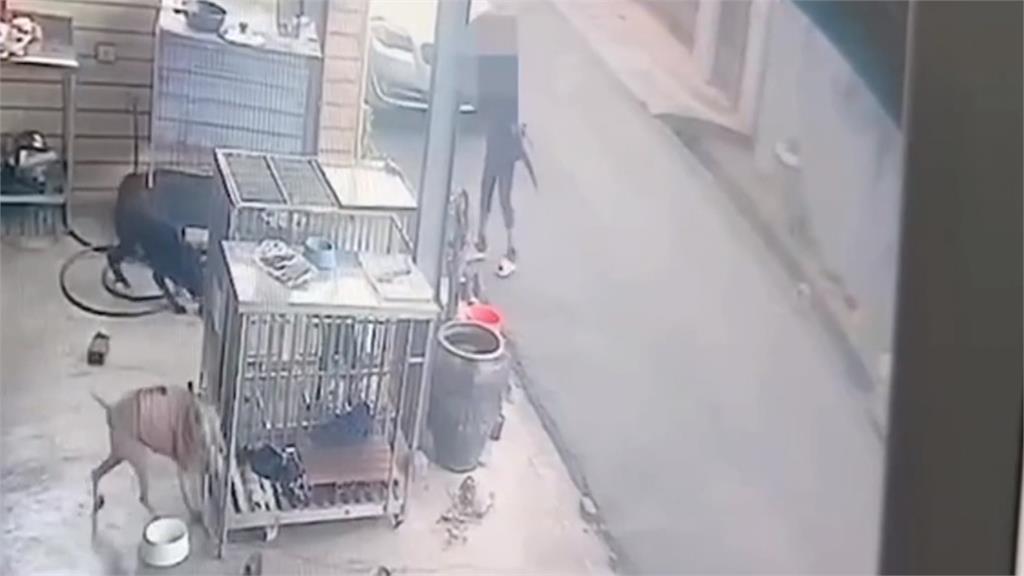 烏龍!警誤會老翁「攻擊狗」登門確認找錯人所長親道歉