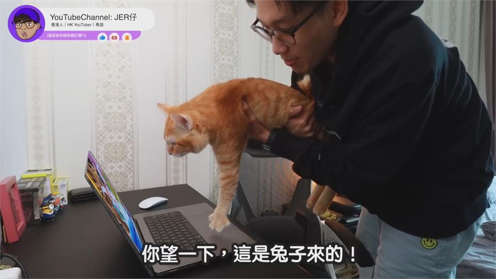 中國新年燈飾醜哭人民 他見「開腿肌肉兔」崩喊:尷尬元素聚一身