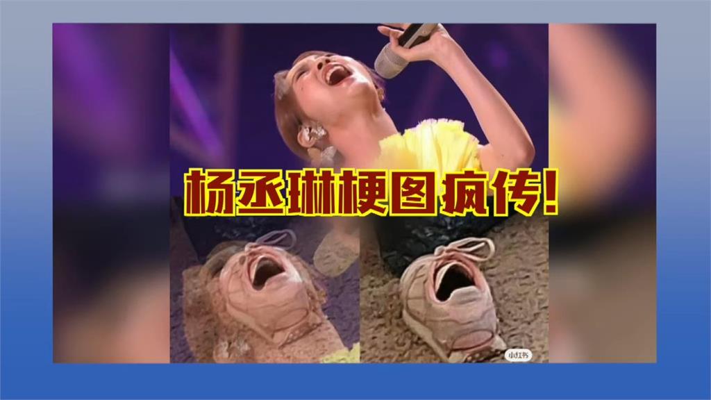 楊丞琳為何被討厭?「好感被敗光」是關鍵 自信過頭、經常失言惹人嫌