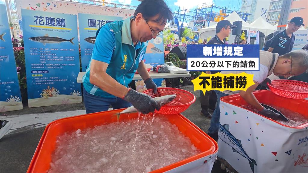 宜蘭鯖魚節！南方澳「丟包子」活動祈求平安豐收　包子藏有彩蛋