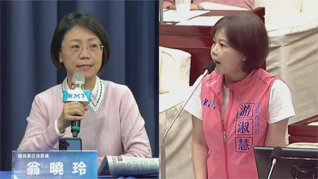 刪凍預算「風向變了」讓翁曉玲1人扛?藍議員「這番話」網不挺酸爆