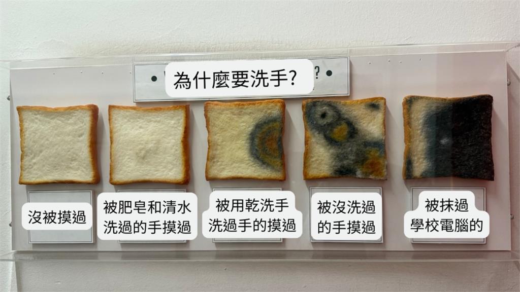 碰完鍵盤細菌超危險!醫師曝驚人實驗「吐司黑化」:黴菌全吃下肚
