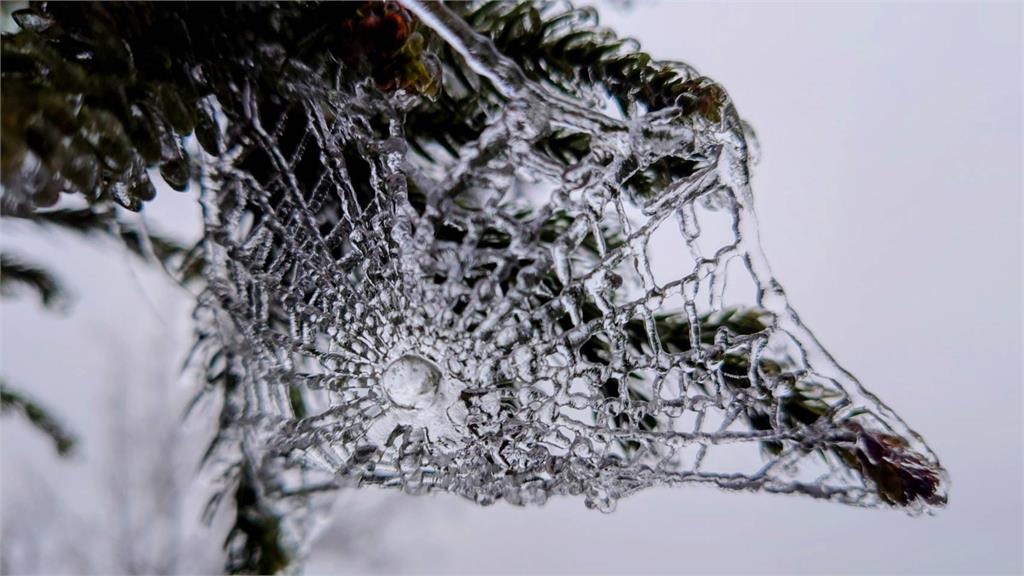 快新聞/氣溫下探0度未飄雪 宜蘭太平山「日出美景」曝光