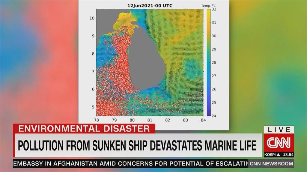 沉船害慘斯里蘭卡　176隻海龜、20隻海豚、4頭鯨魚慘死