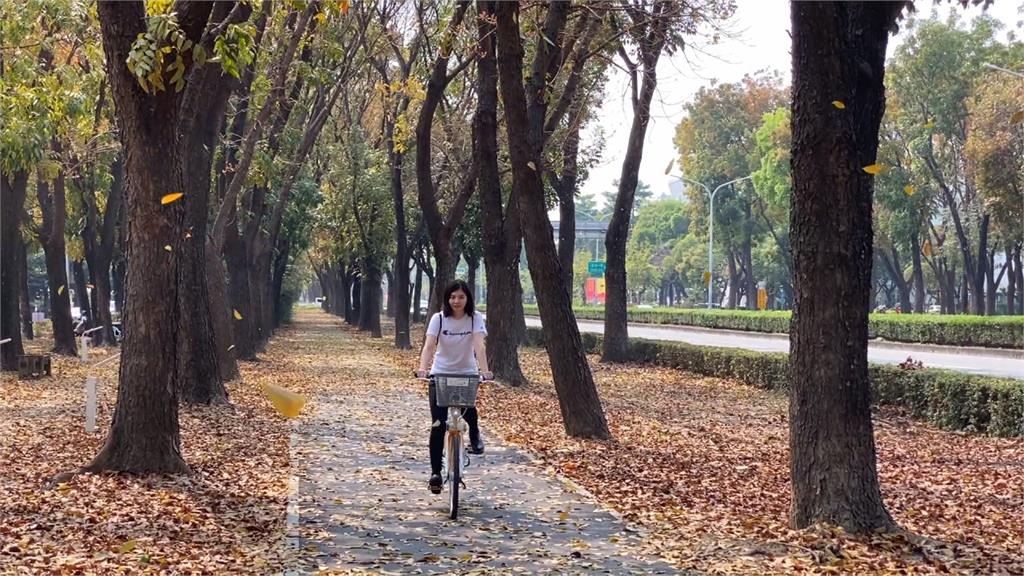 嘉義「環市自行車道」啟用　沿途媲美韓劇景點