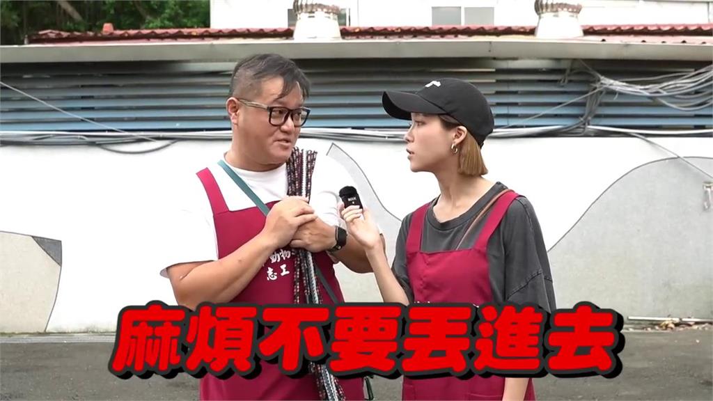 網紅帶家人體驗流浪動物志工 流浪狗住滿籠子他無奈:越塞越多