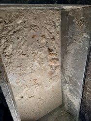 台中龍井養豬場疑用廚餘餵豬 最高恐挨罰400萬元、飼主喊冤