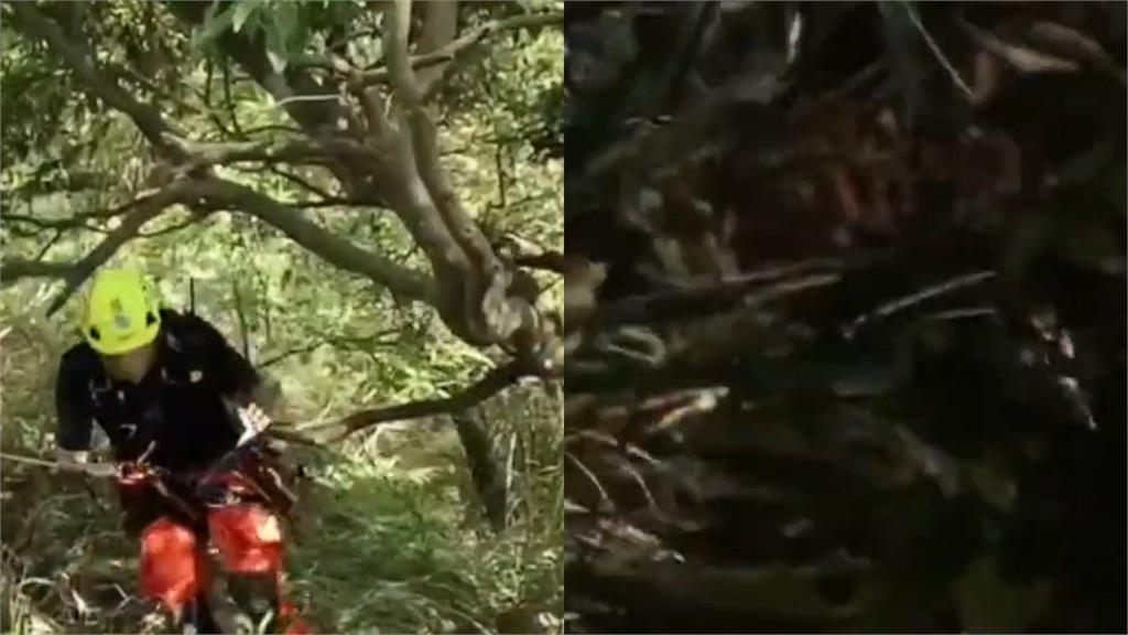 女大生闖大坑山區迷路嚇哭!詭異阿伯指路「教走東北方」警一聽發毛:你們差點掛掉