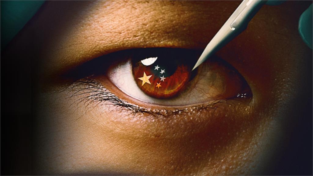 成功大學收「爆裂物」恐嚇信!疑似阻擋《國有器官》放映?校方:為境外IP